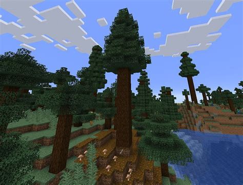 spruce tree minecraft|spruce minecraft español.